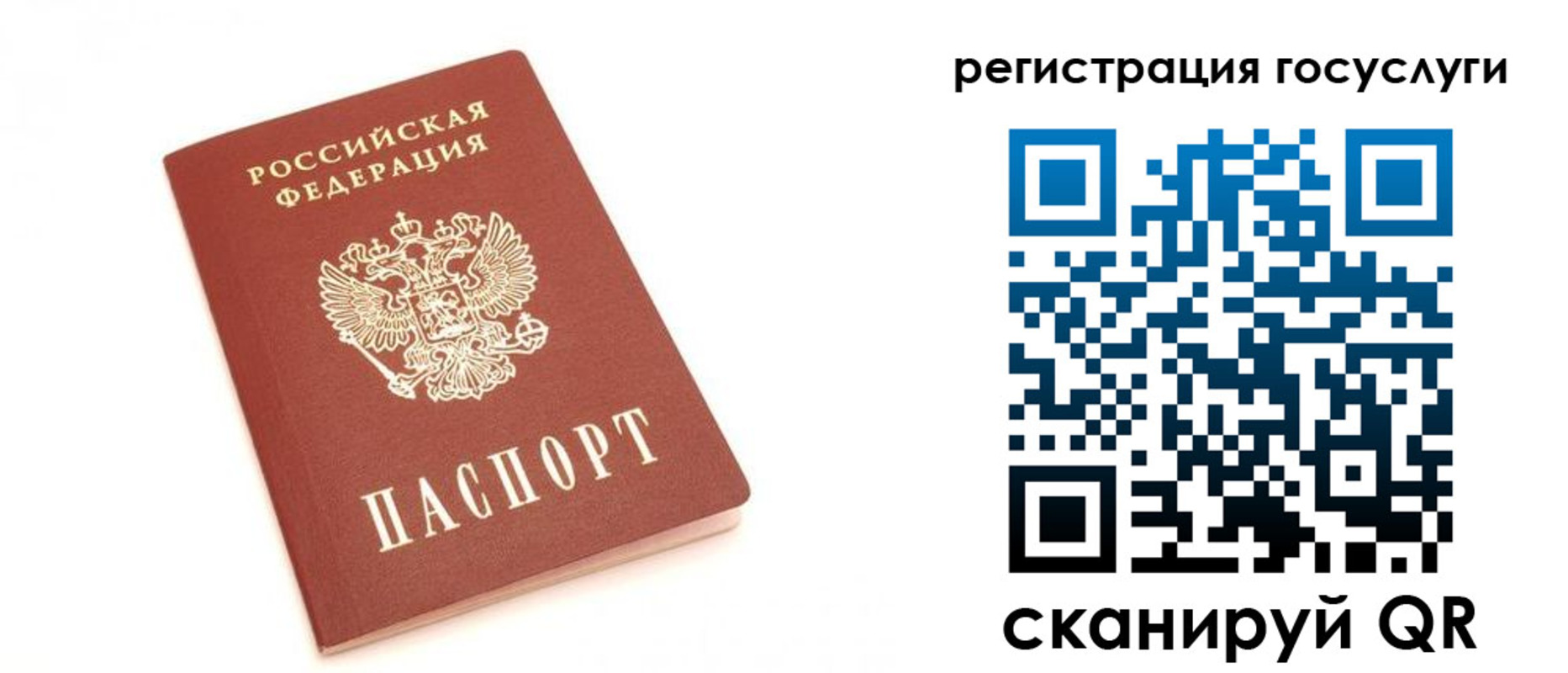 прописка для школы в Ногинске